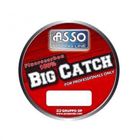 ASSO BIG CATCH 150M 0.20